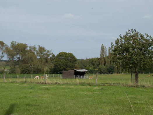 Koppenberg, Zulzeke, Oudenaarde (Belgium)